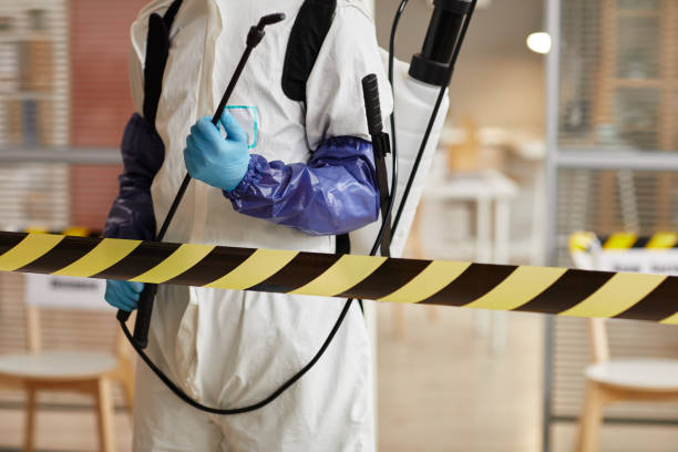Professional Infectious Disease Decontamination technician working in Boerne, TX